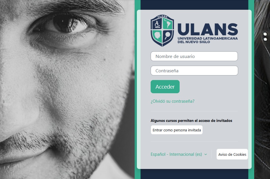 Screenshot of the ULANS tutorials and web design platform